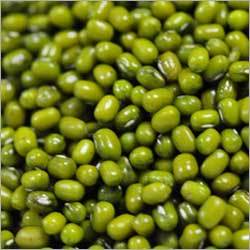 Green Mung Beans Green Mung Beans