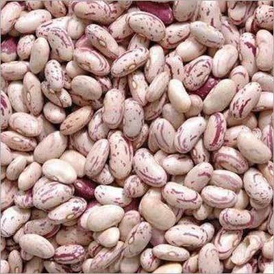 Light Speckled Kidney Beans Light Speckled Kidney Beans