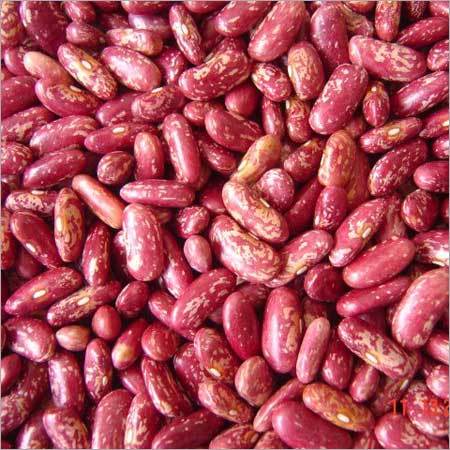 Red Speckled Kidney Beans Red Speckled Kidney Beans