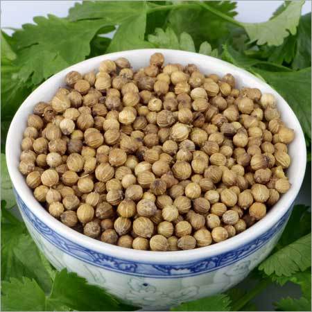 Whole Coriander Seeds Whole Coriander Seeds