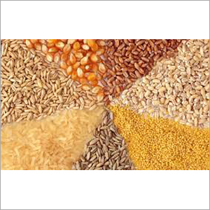 Food Grain