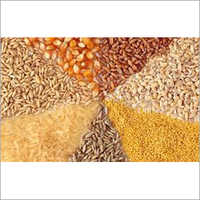 Food Grain