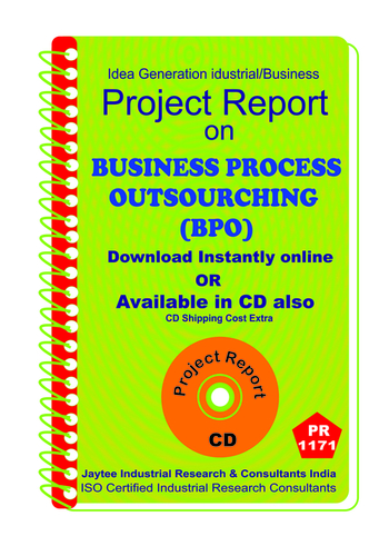 Information Technology Project Reports