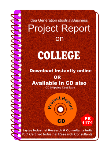 Information Technology Project Reports