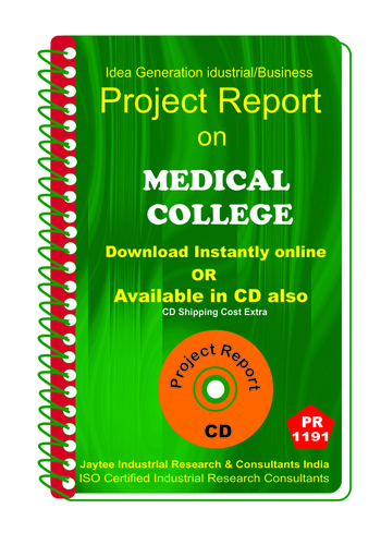 Information Technology Project Reports