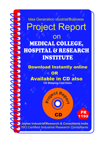 Information Technology Project Reports