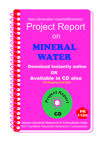 Information Technology Project Reports