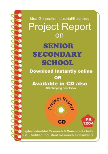 Information Technology Project Reports