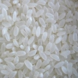 Vietnamese Short Round Grains