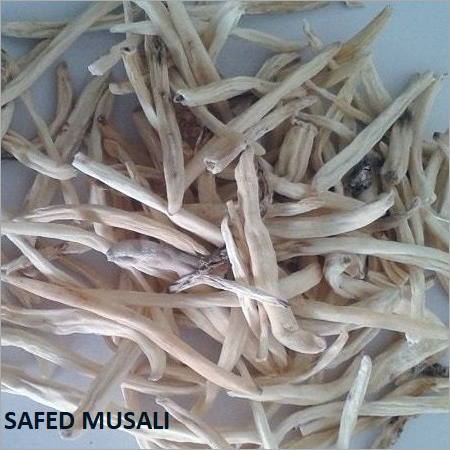 Safed Musli Roots