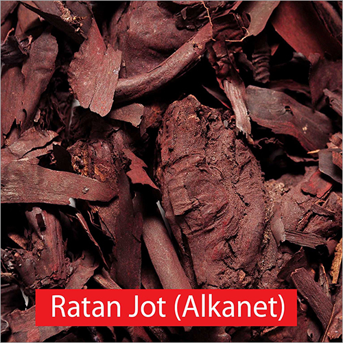 Alkanet Root
