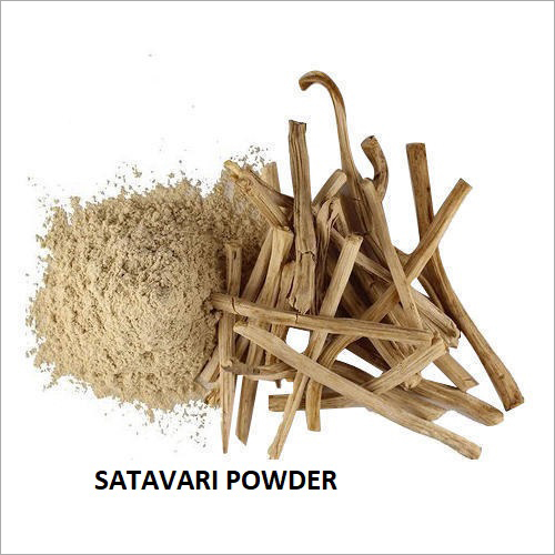 Satavari Powder