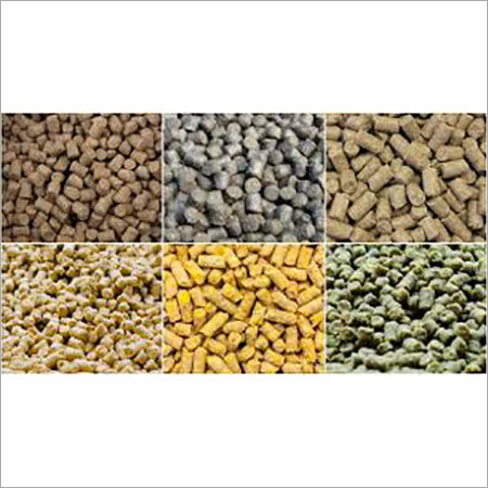 Animal Feed Cattle Consultant