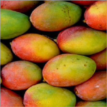 Banganapalli Mango