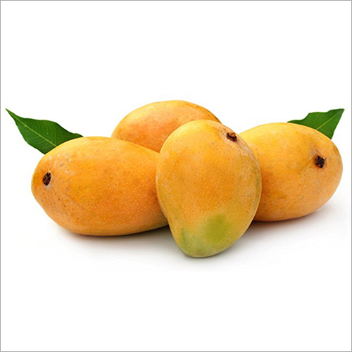 Alphonso Mango