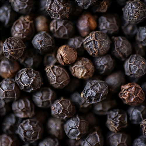 Black Pepper