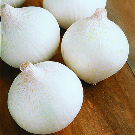 Organic Onion