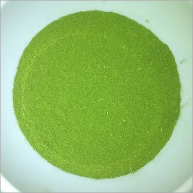 Conventional Moringa Oleifera Leaves Powder Grade: A