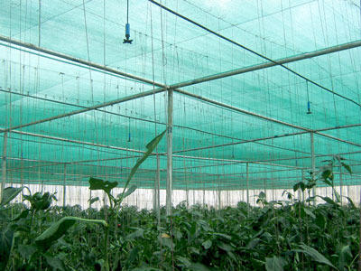 Cultivation Net Cultivation Net