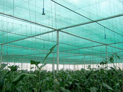 Cultivation Shade Net Cover Material: Film