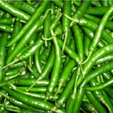 Green Chilli Paste