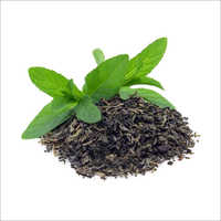 Green Tea Extract