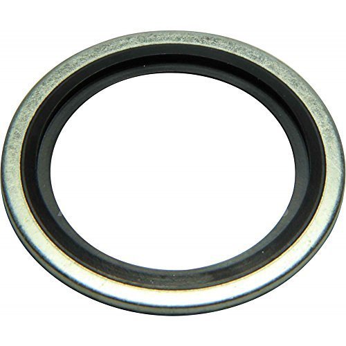 Industrial Dowty Seal