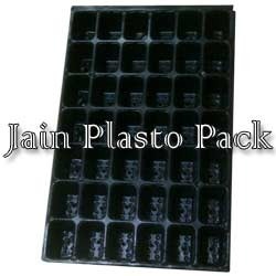 Seed Trays