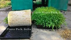 Hydroponic Trays For Fodder