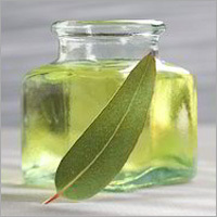 Eucalyptus Oil