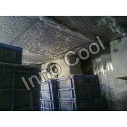 freezer-storage room
