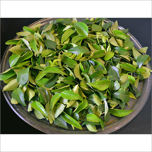 Organic Curry Leaves