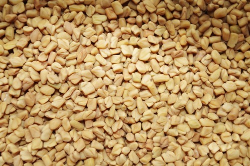 Dried Fenugreek