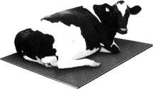 Rubber Cow Matting Rubber Cow Matting