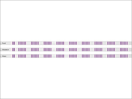 White And Purple Euroimmun Allergy Blot