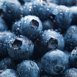 Blueberry Extract - Age Group: For Adults