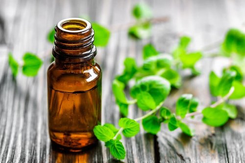 Mint Oil
