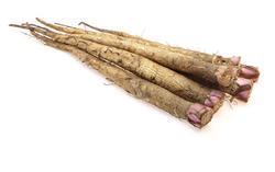 Burdock Root Extract Age Group: For Adults