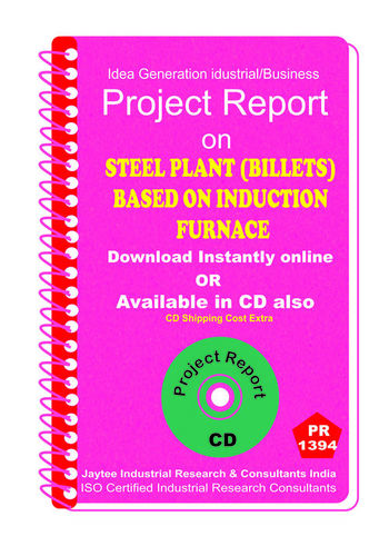 Steel Plant (Billets) based on Induction Furnace eBook