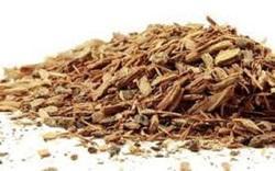 Pygeum Bark Extract