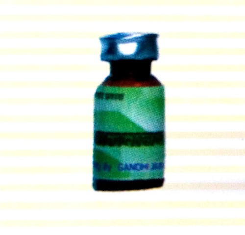 Ajwain Oil