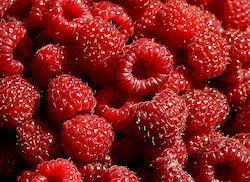 Raspberry Extract Age Group: For Adults