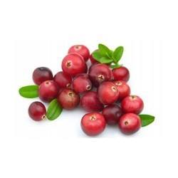 Cranberry Extract