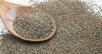 Ajwain Seed Extract