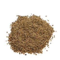Celery Seed Extract By Herbo Nutra Extract Private Limited