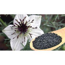 Nigella Sativa Extract