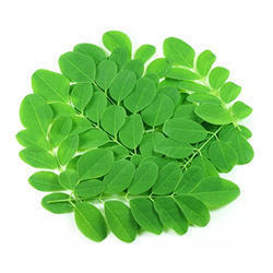 Moringa Leaf Extract Grade: Food Grade