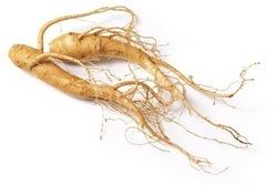 Ginseng Extract