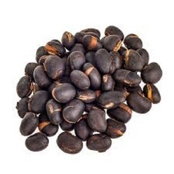 Mucuna Pruriens Extract By Herbo Nutra Extract Private Limited