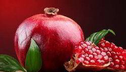 Pomegranate Extract By Herbo Nutra Extract Private Limited